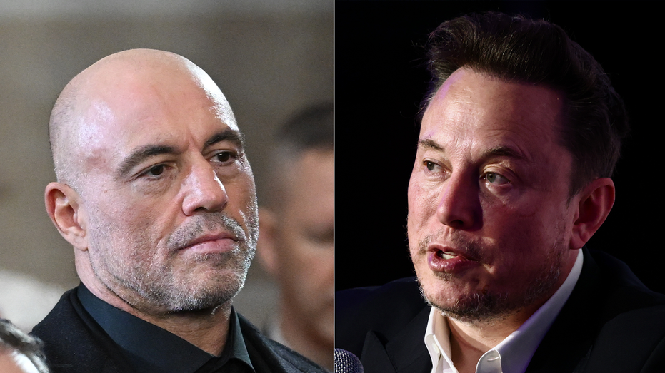 Joe Rogan calls out liberals for insisting Musk used Nazi salute ...