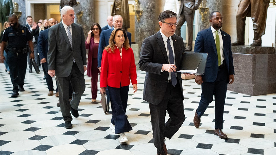 Scalise reveals post-shutdown GOP battle plan as House readies for ...